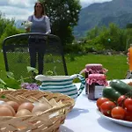 Guest house Schindlau 3*